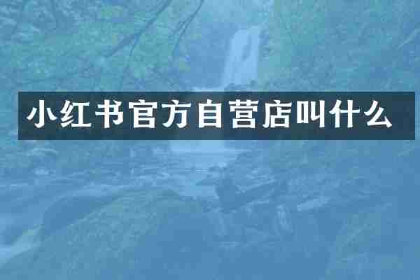 小红书官方自营店叫什么