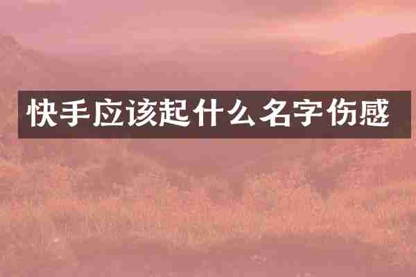 快手应该起什么名字伤感