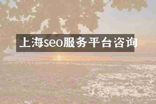 上海seo服务平台咨询