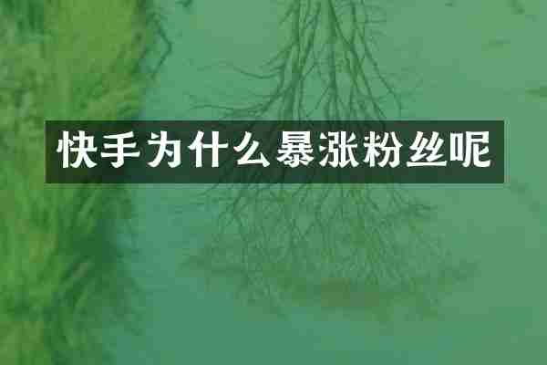 快手为什么暴涨粉丝呢