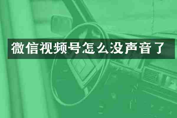 微信视频号怎么没声音了