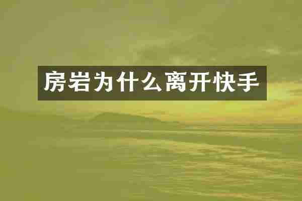 房岩为什么离开快手