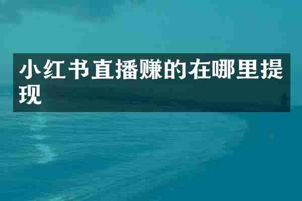 小红书直播赚的在哪里提现