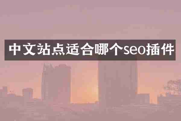 中文站点适合哪个seo插件