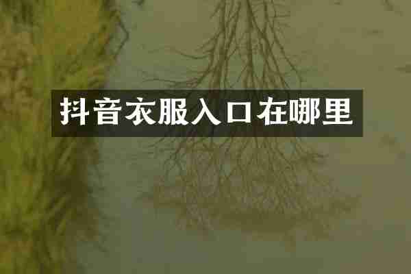 抖音衣服入口在哪里