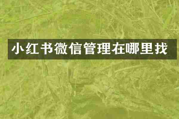 小红书微信管理在哪里找