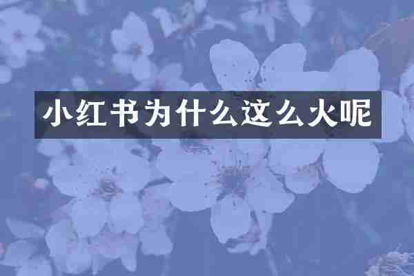 小红书为什么这么火呢
