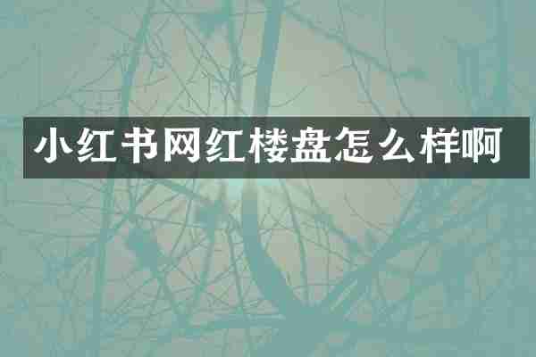 小红书网红楼盘怎么样啊