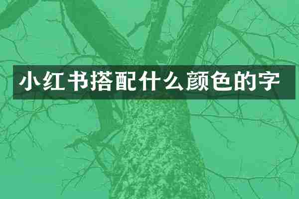 小红书搭配什么颜色的字