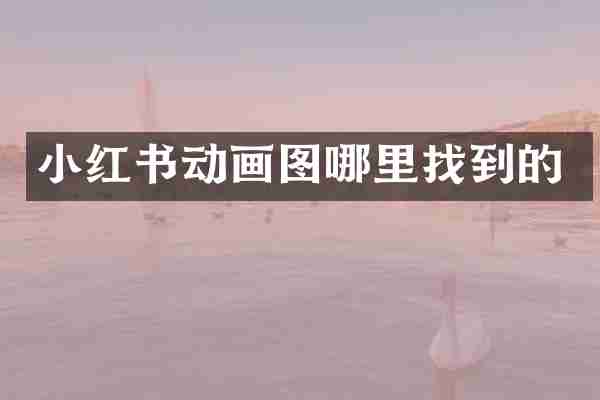 小红书动画图哪里找到的