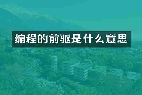 编程的前驱是什么意思