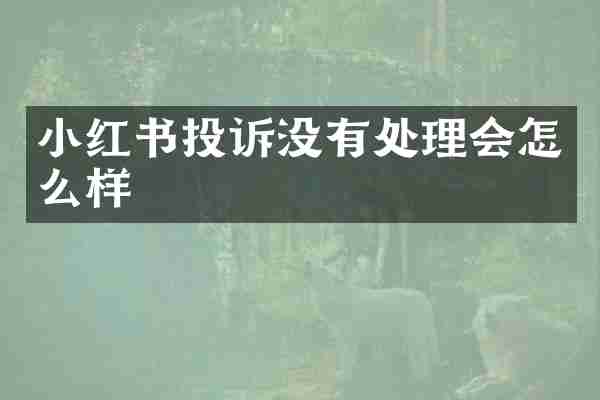 小红书投诉没有处理会怎么样