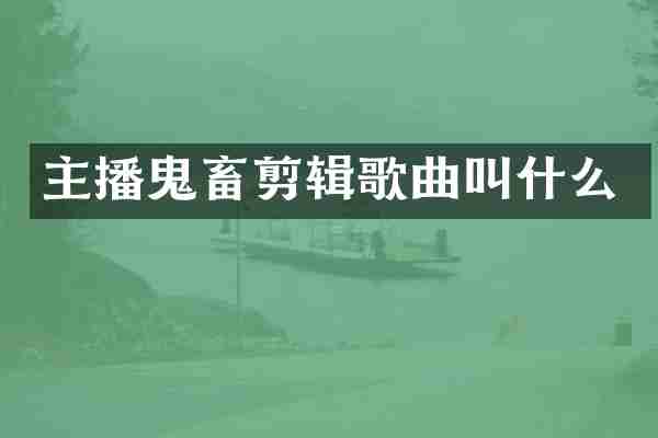 主播鬼畜剪辑歌曲叫什么