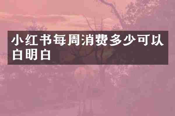 小红书每周消费多少可以白明白