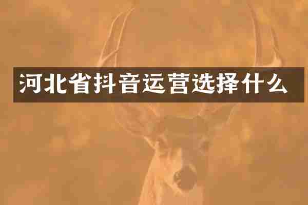 河北省抖音运营选择什么