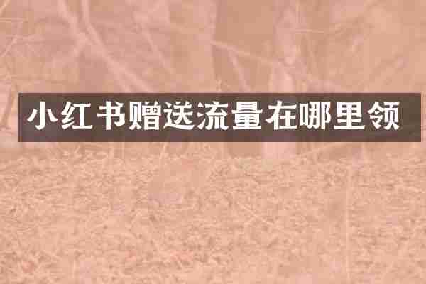 小红书赠送流量在哪里领