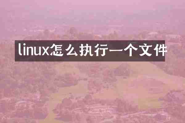 linux怎么执行一个文件