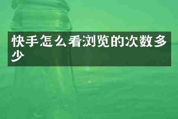 快手怎么看浏览的次数多少