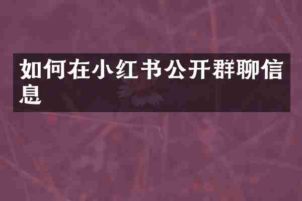 如何在小红书公开群聊信息