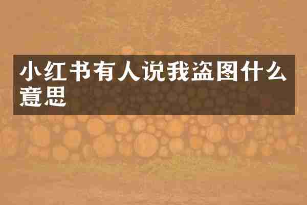 小红书有人说我盗图什么意思