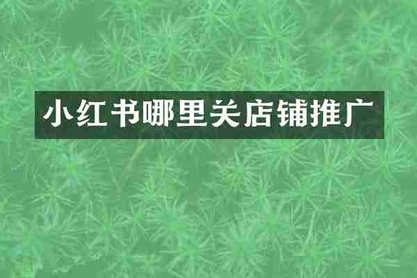 小红书哪里关店铺推广