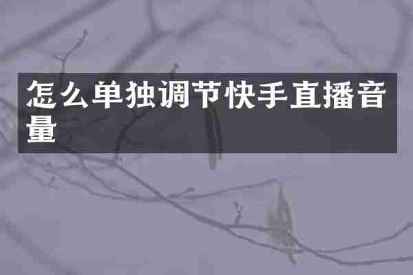 怎么单独调节快手直播音量