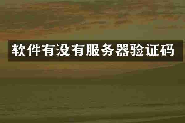 软件有没有服务器验证码