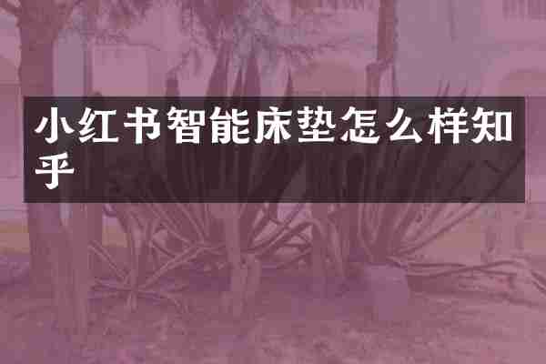 小红书智能床垫怎么样知乎