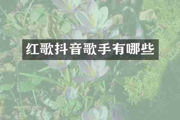 红歌抖音歌手有哪些