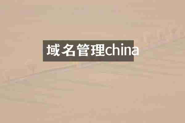 域名管理china