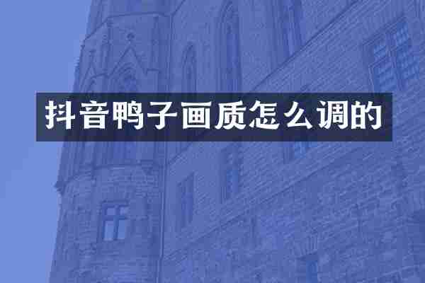 抖音鸭子画质怎么调的