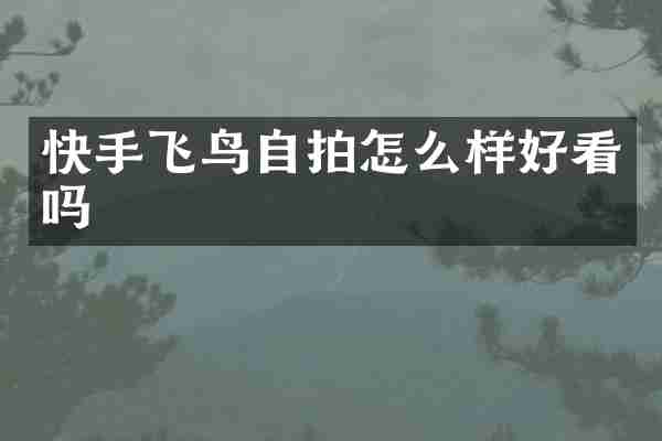 快手飞鸟自拍怎么样好看吗