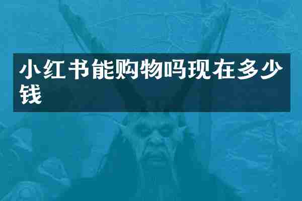 小红书能购物吗现在多少钱