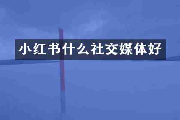 小红书什么社交媒体好