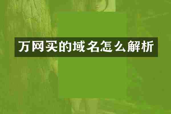 万网买的域名怎么解析