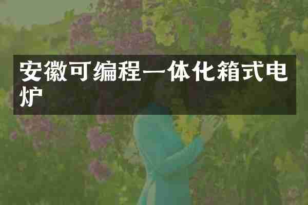 安徽可编程一体化箱式电炉