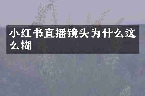小红书直播镜头为什么这么糊