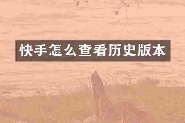 快手怎么查看历史版本