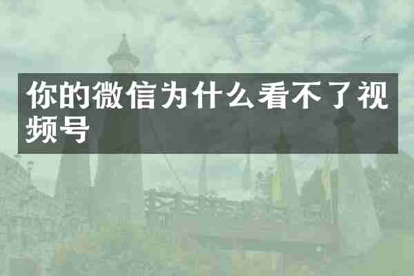 你的微信为什么看不了视频号