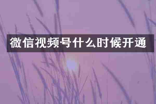 微信视频号什么时候开通