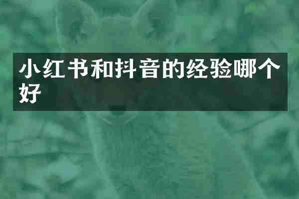 小红书和抖音的经验哪个好