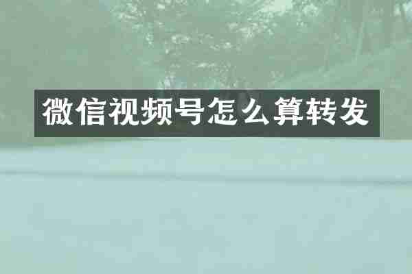 微信视频号怎么算转发