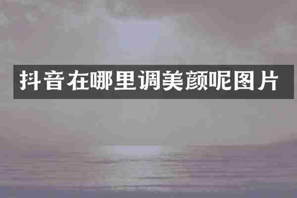 抖音在哪里调美颜呢图片