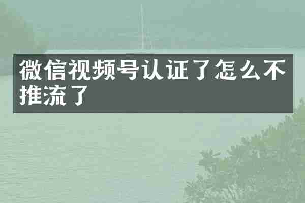 微信视频号认证了怎么不推流了