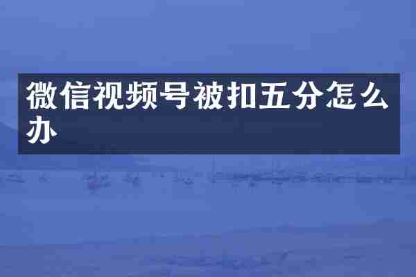 微信视频号被扣五分怎么办