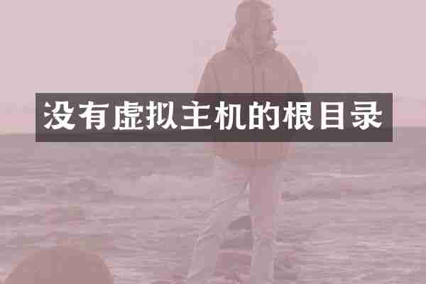 没有虚拟主机的根目录