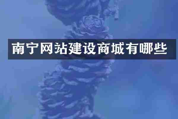 南宁网站建设商城有哪些