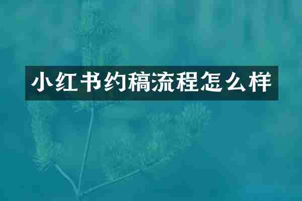 小红书约稿流程怎么样