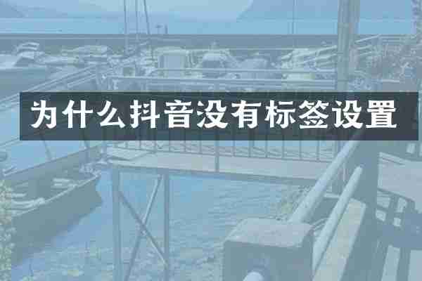 为什么抖音没有标签设置
