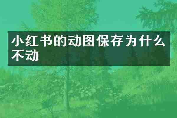 小红书的动图保存为什么不动